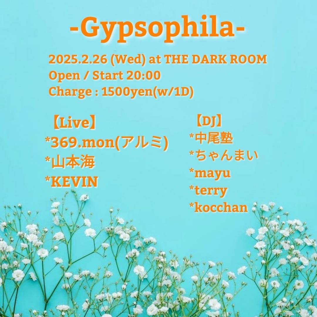 「Gypsophila」フライヤー